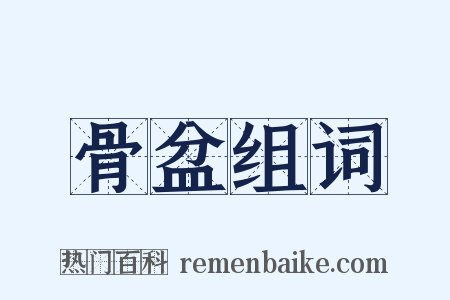 骨盆组词是什么意思的图片